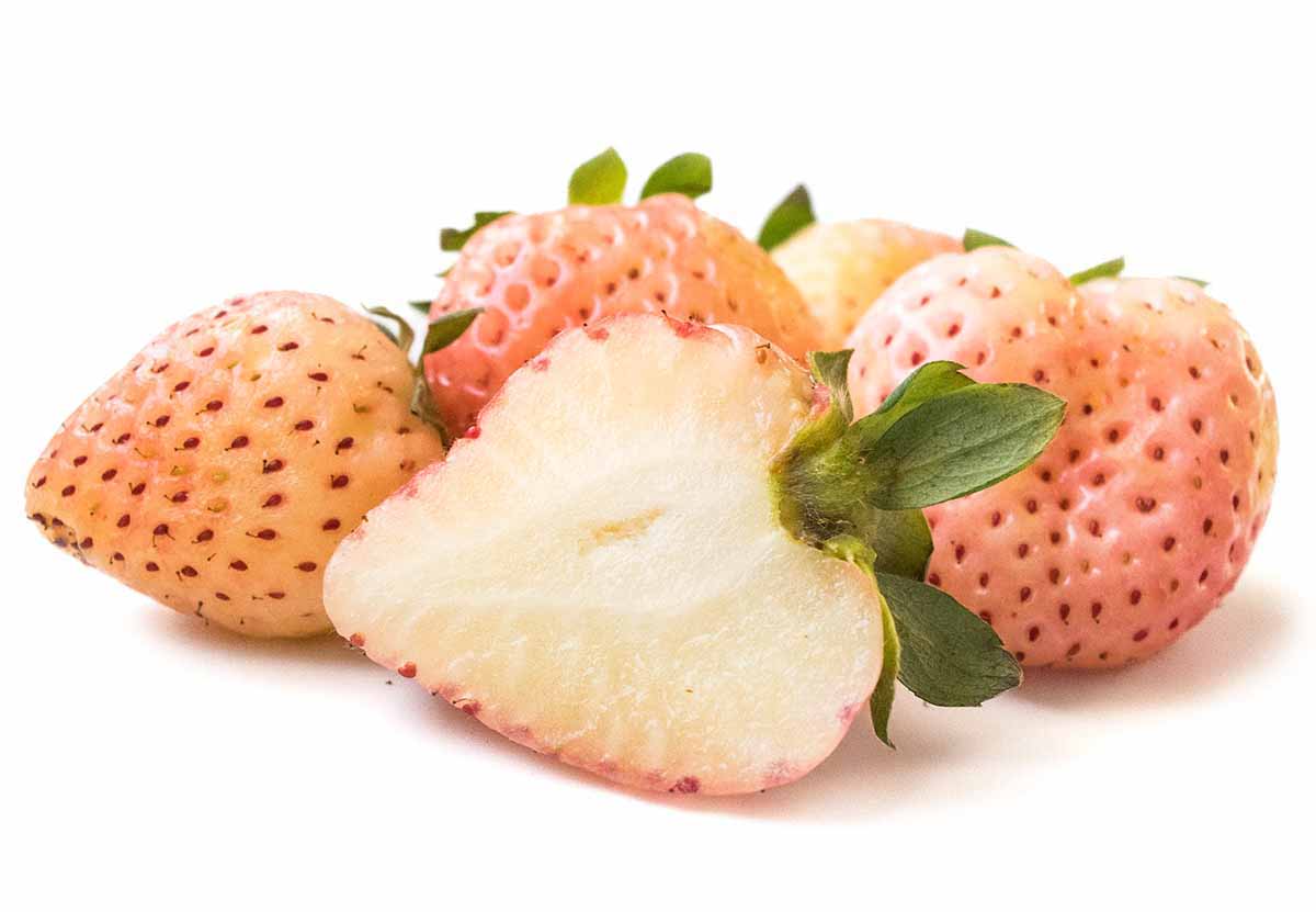 Pink pineberries in season