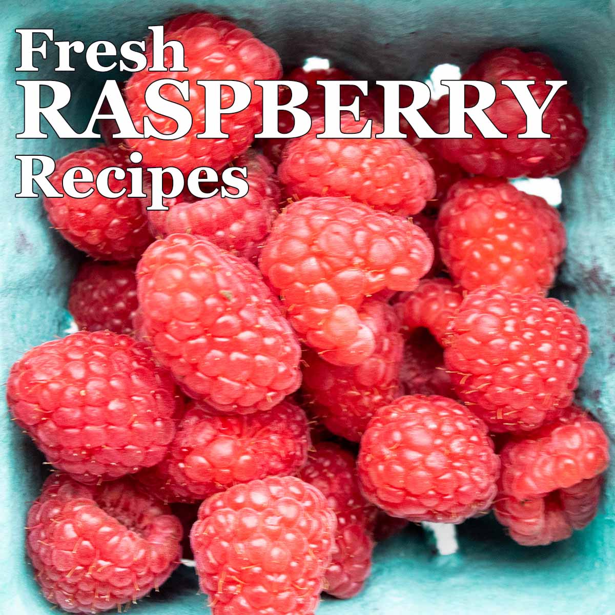 Fresh raspberry recipes, with raspberries in a teal container