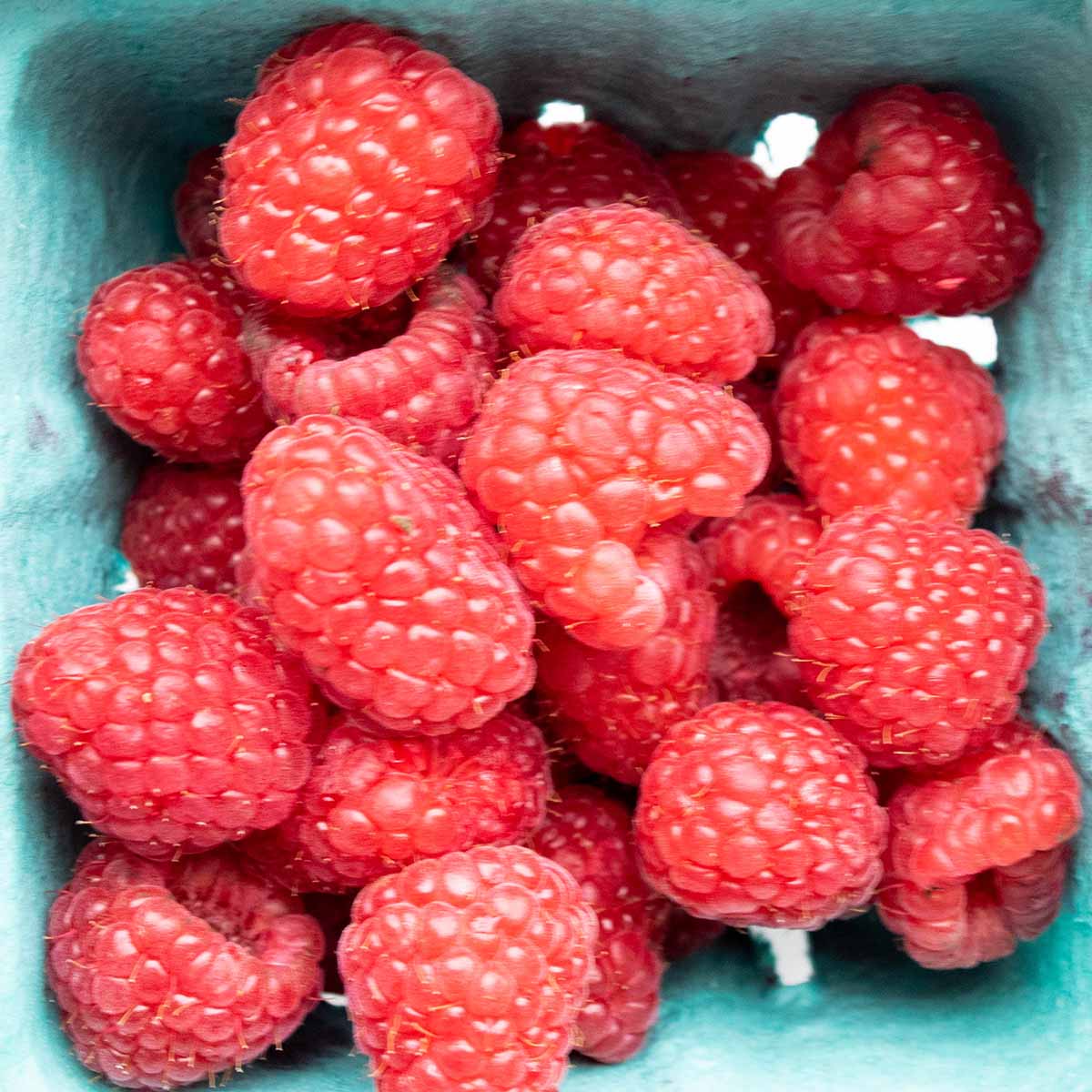 Raspberries in a container