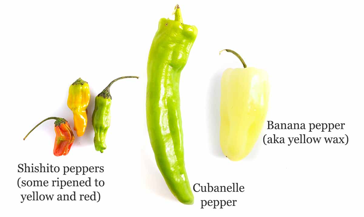 Sweet pepper varieites: shishito, cubanelle, banana pepper