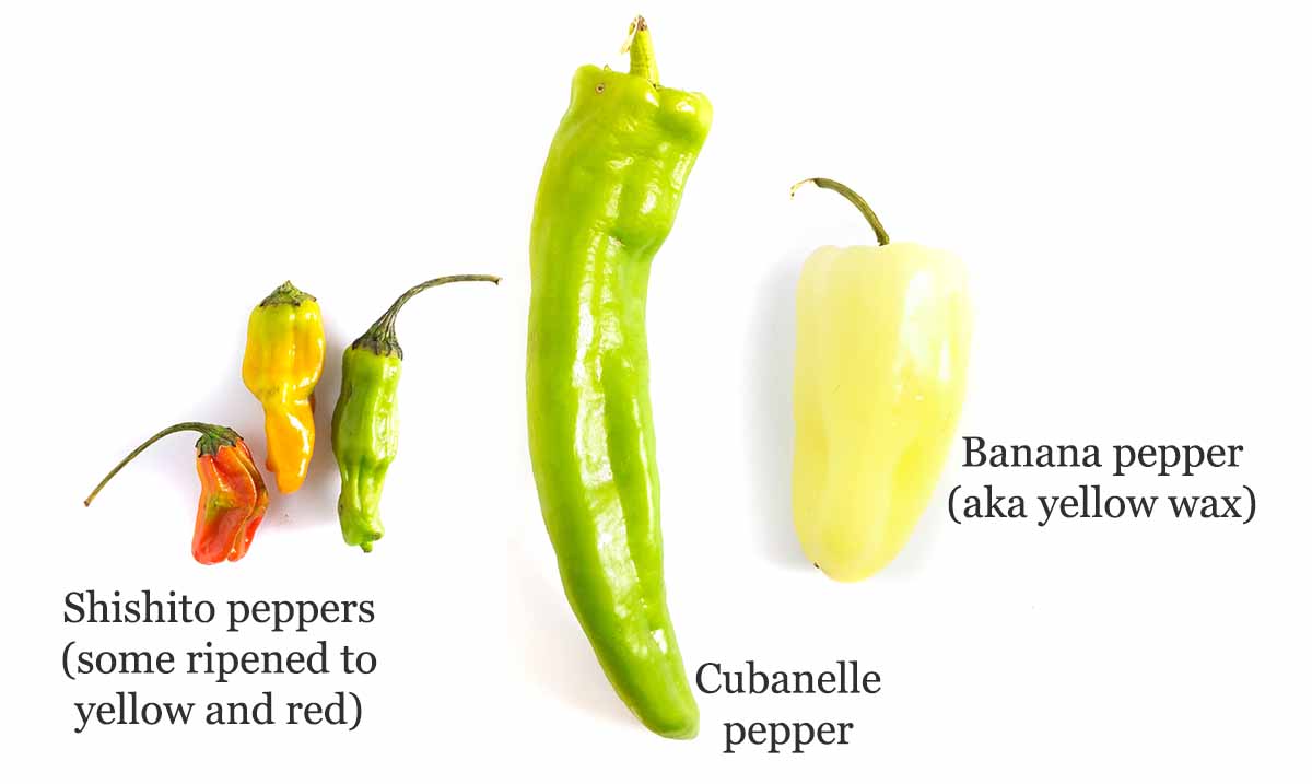 Sweet & bell peppers - Ask the Food Geek