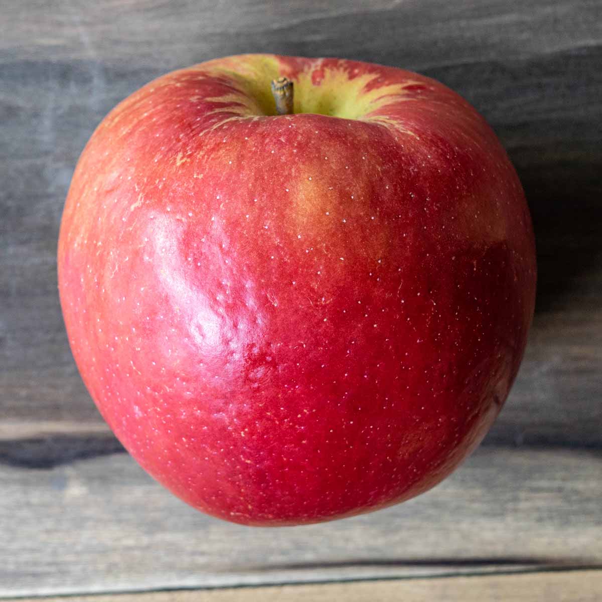 A Braeburn apple from the farmers market. 