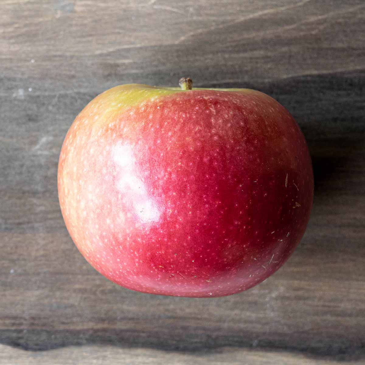A McIntosh apple