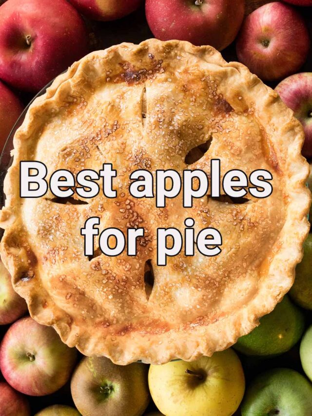 Best apples for pie Ask the Food Geek