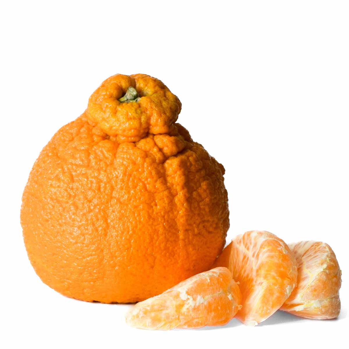 What Is A Sumo Citrus Orange? - Why Are Sumo Oranges So Expensive?