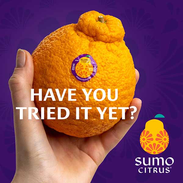 Here's Your Tell-All Guide To Sumo Oranges, The Perfect Healthy Snack