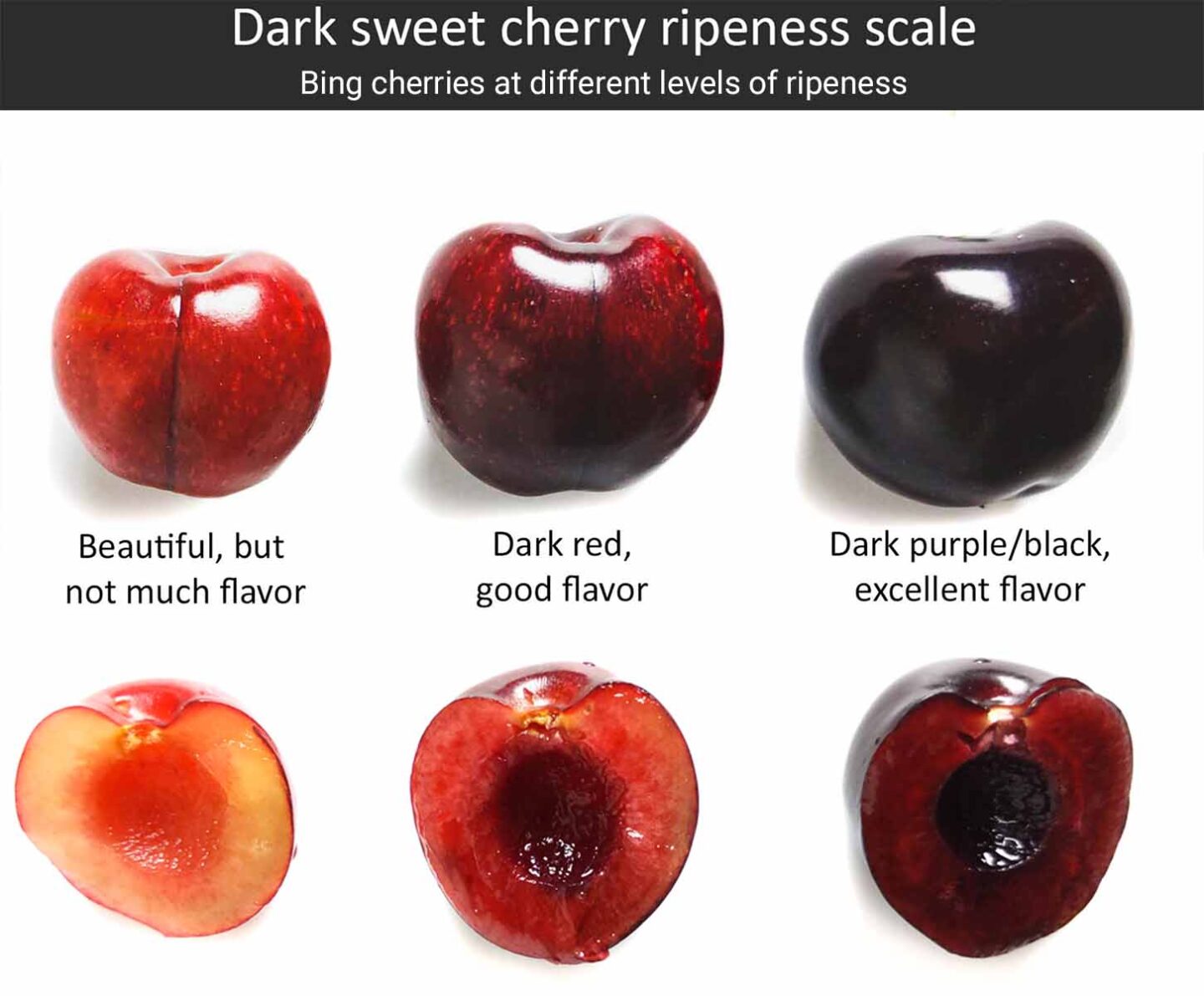 Which one do you see yourself wearing more? Cherry or Black Cherry?