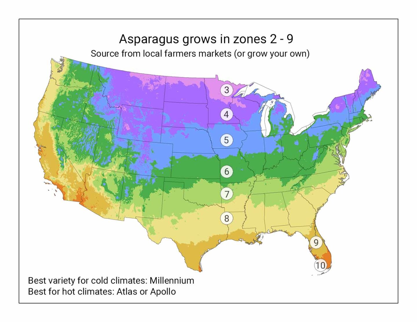 USDA zone map for growing asparagus