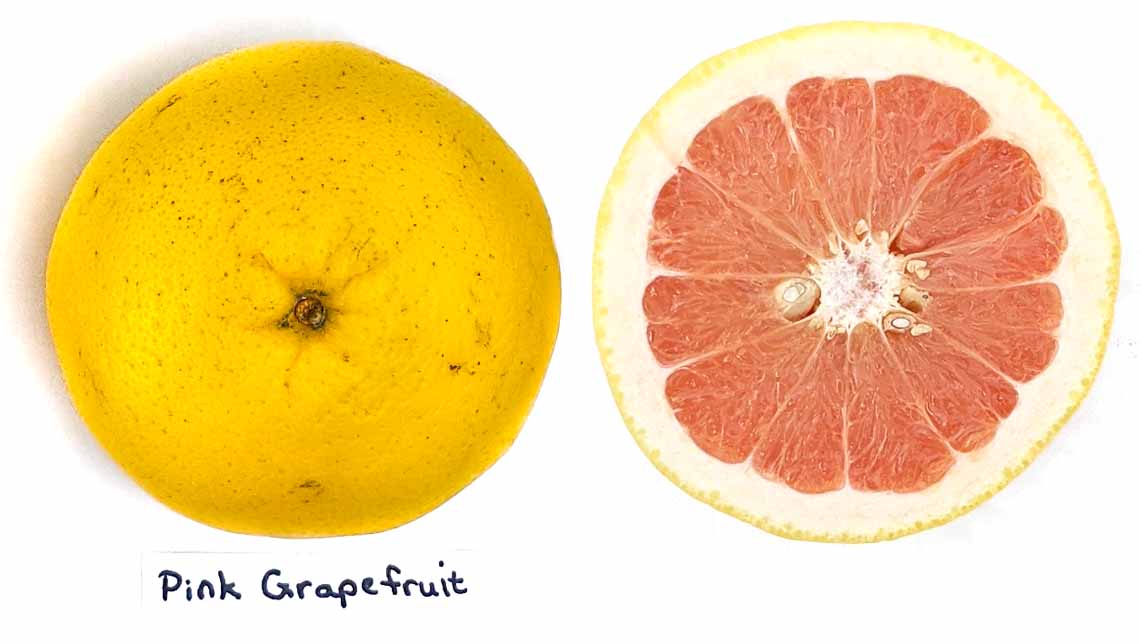 Pink grapefruit variety, whole and cut