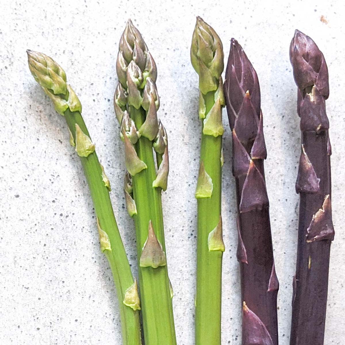 Green and purple asparagus varieties