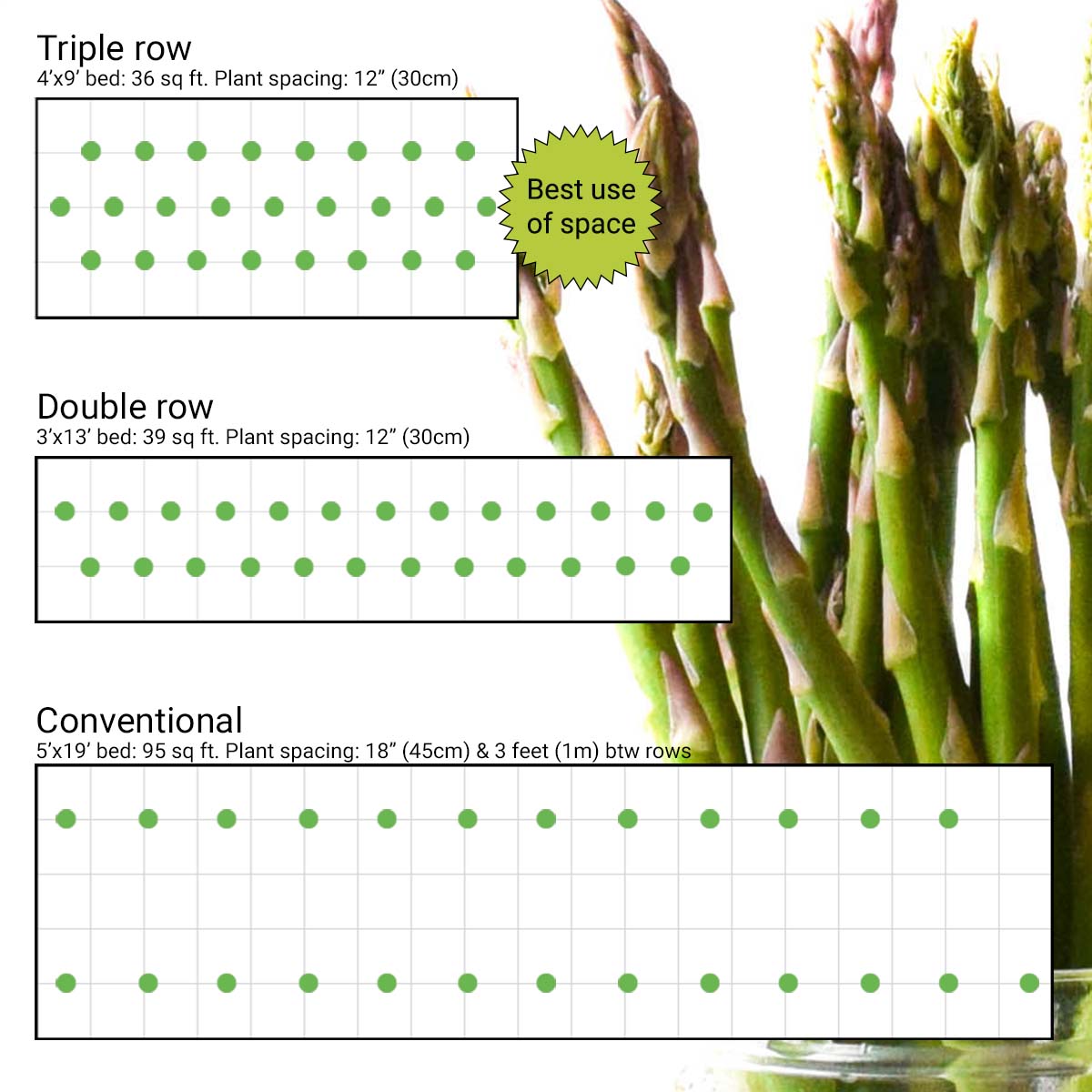 Chart showing how to grow asparagus in less space with high density garden bed layouts.