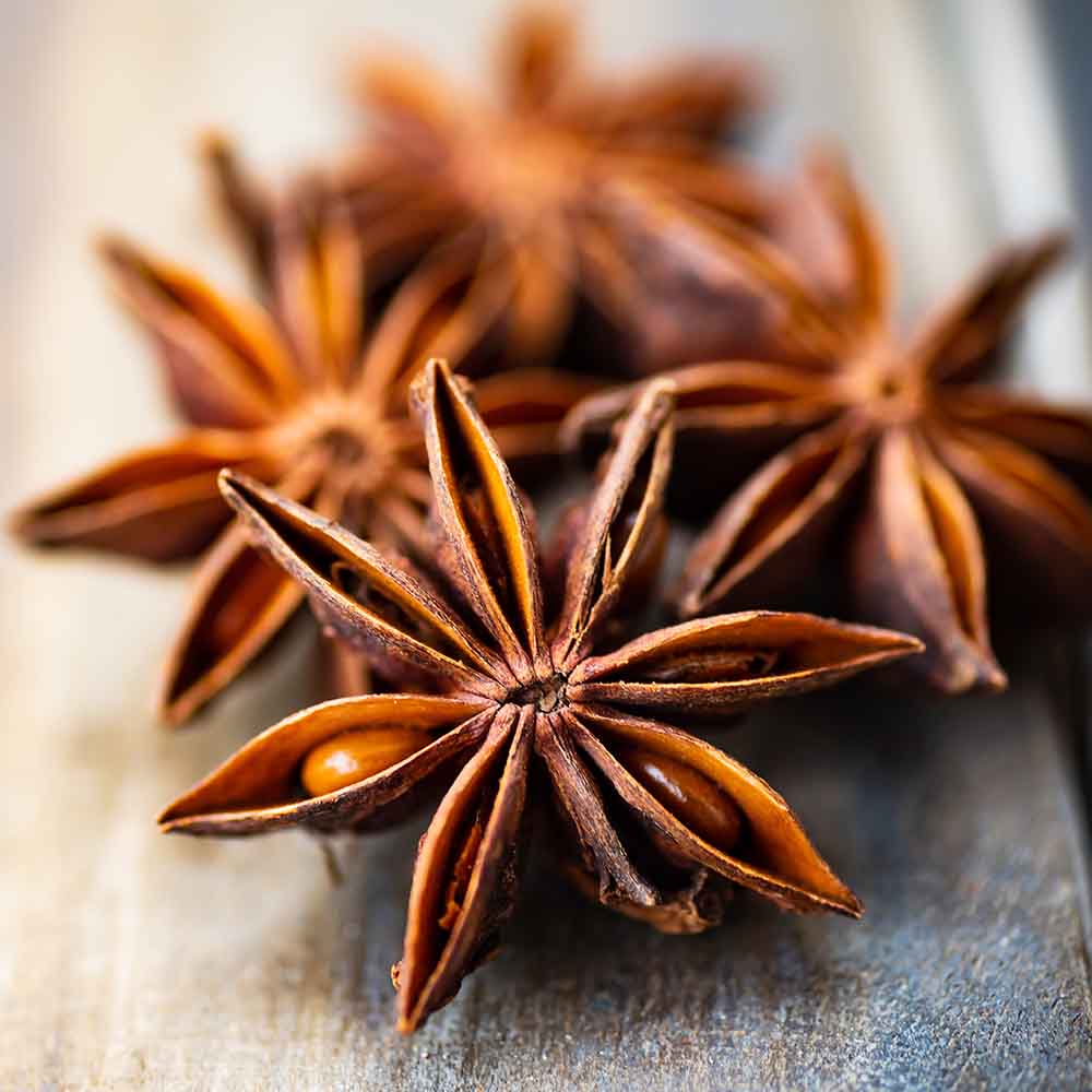 Dried star anise herbs on a table