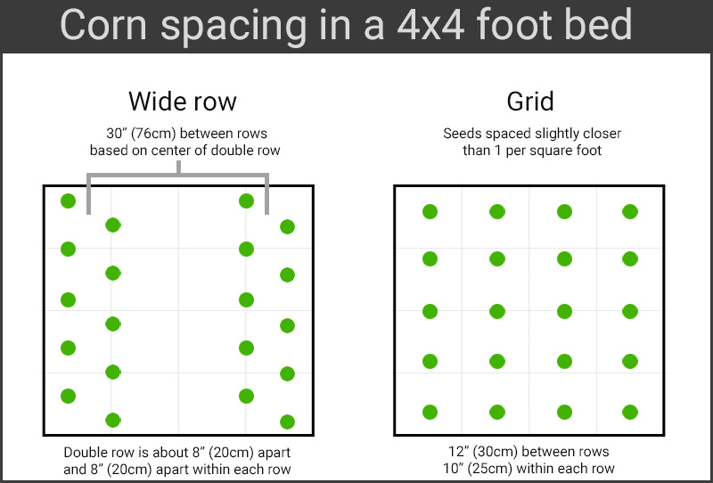 Corn spacing: wide row vs grid