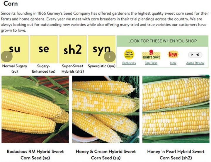What is the best type of corn to grow? Ask the Food Geek