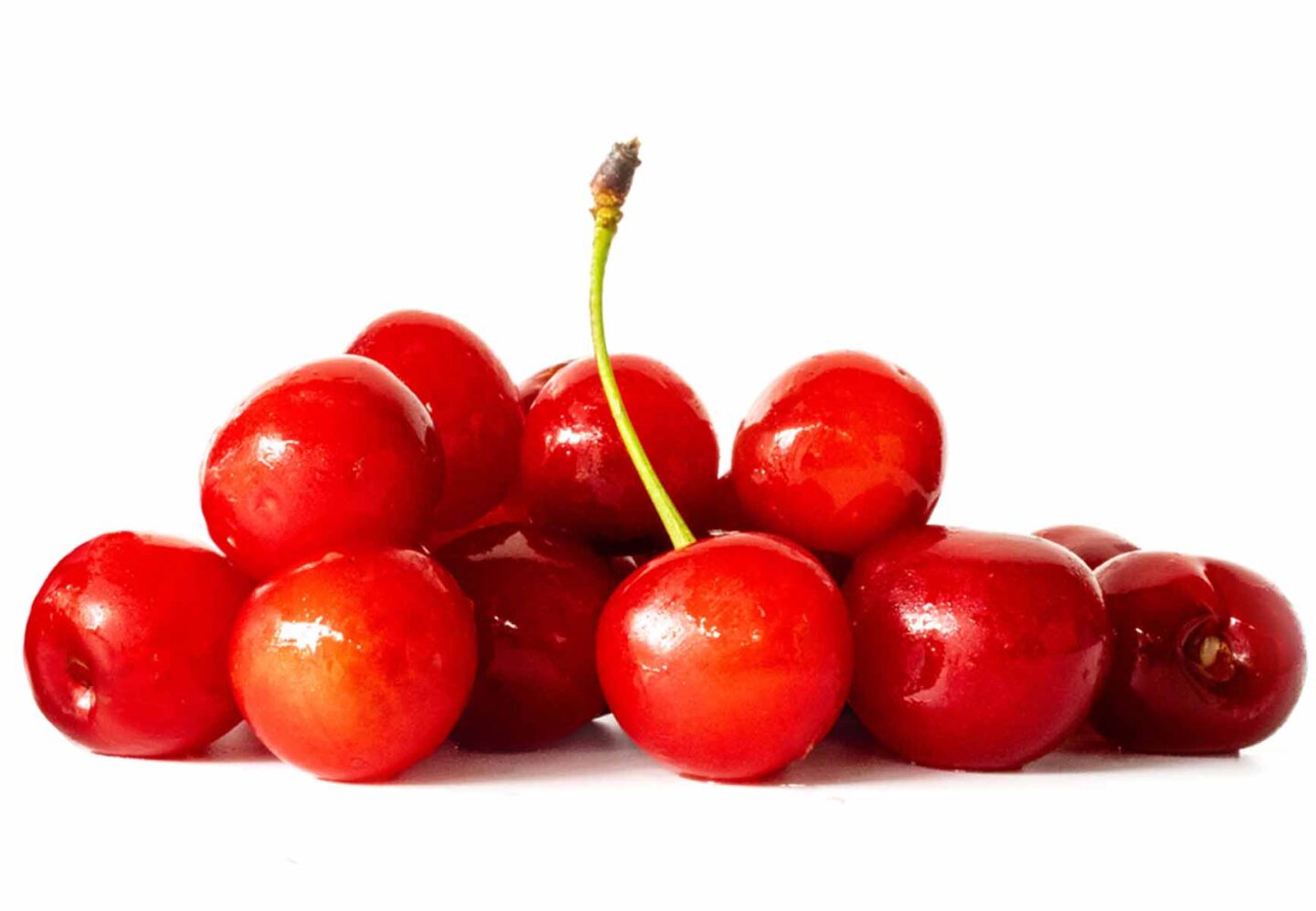 Tart sour cherries in season