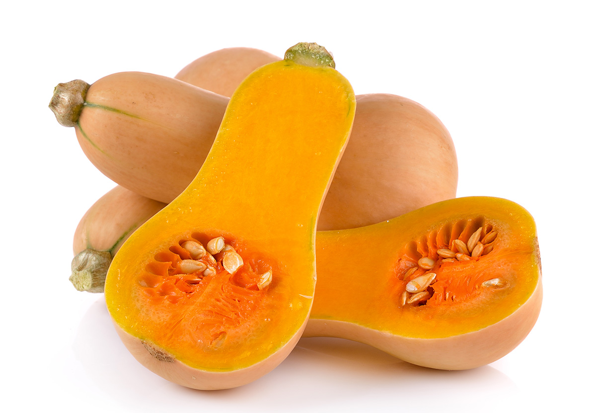 Butternut squash in season, whole and cut in half