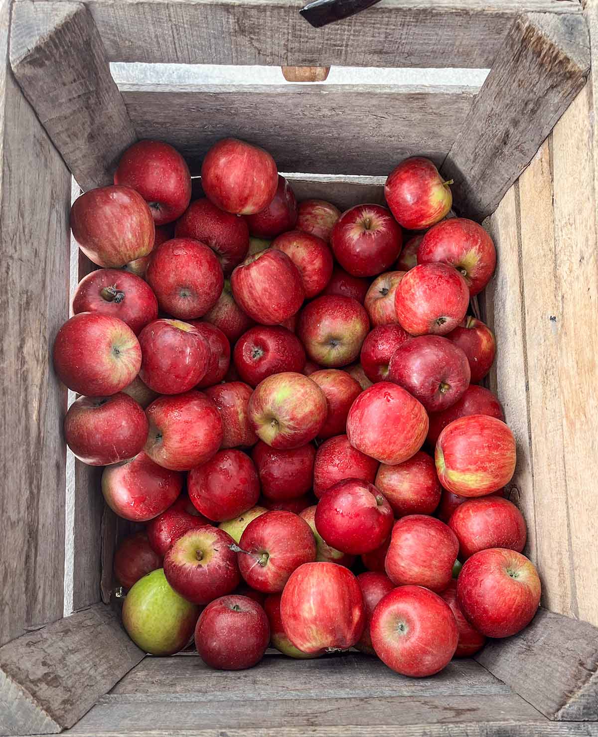 https://askthefoodgeek.com/wp-content/uploads/2023/10/farmers-market-apple-bin.jpg