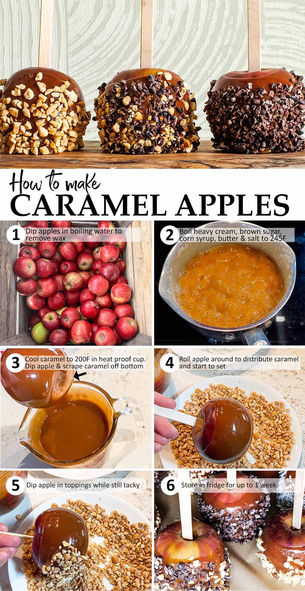 Easy homemade caramel apples Ask the Food Geek