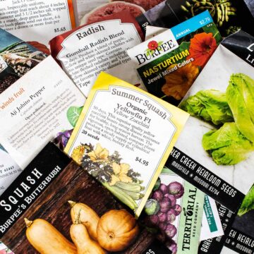 A random collection of seed packets from different online vendors including baker creek heirloom, burpee seeds, and Territorial seed company.
