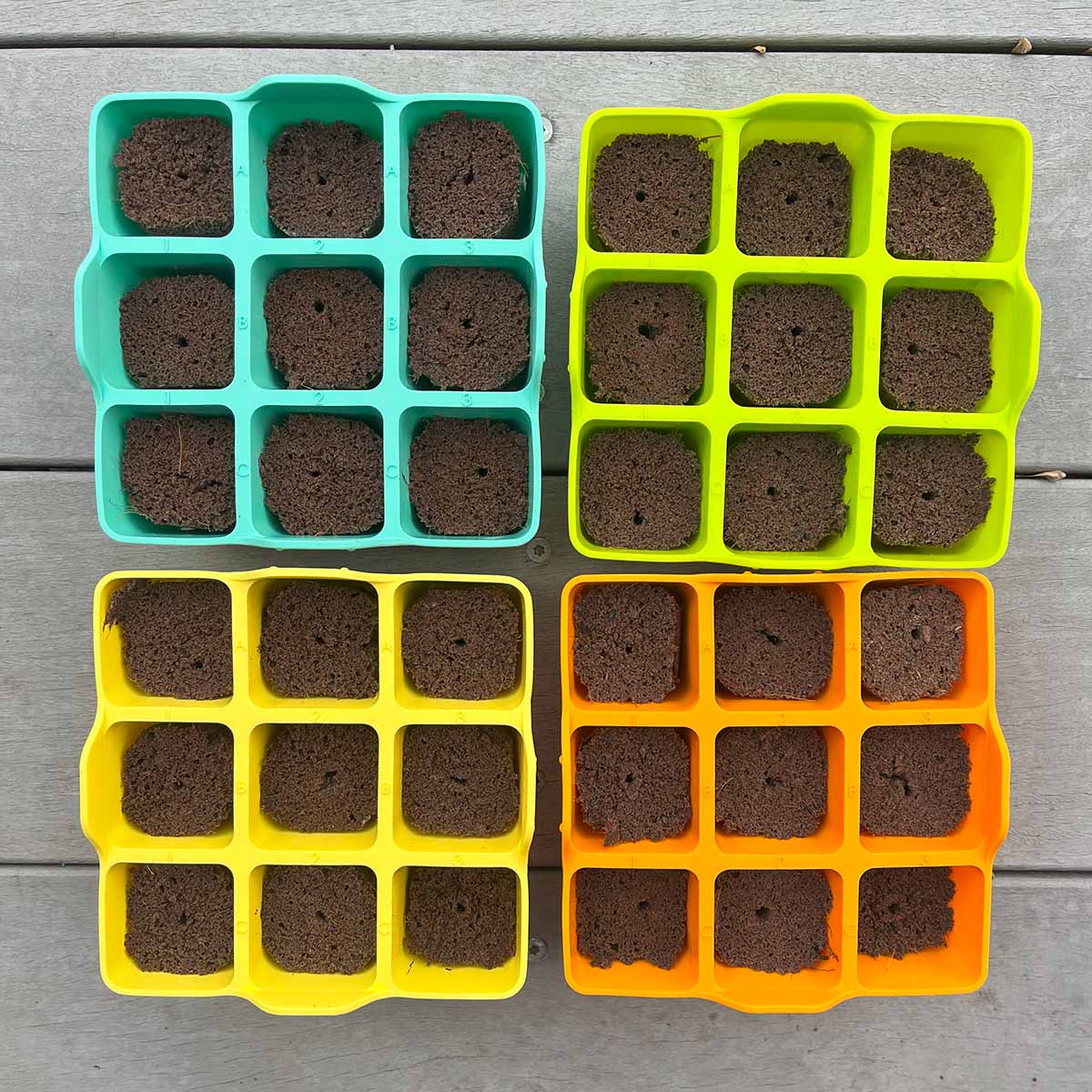 4 colorful seed starting trays