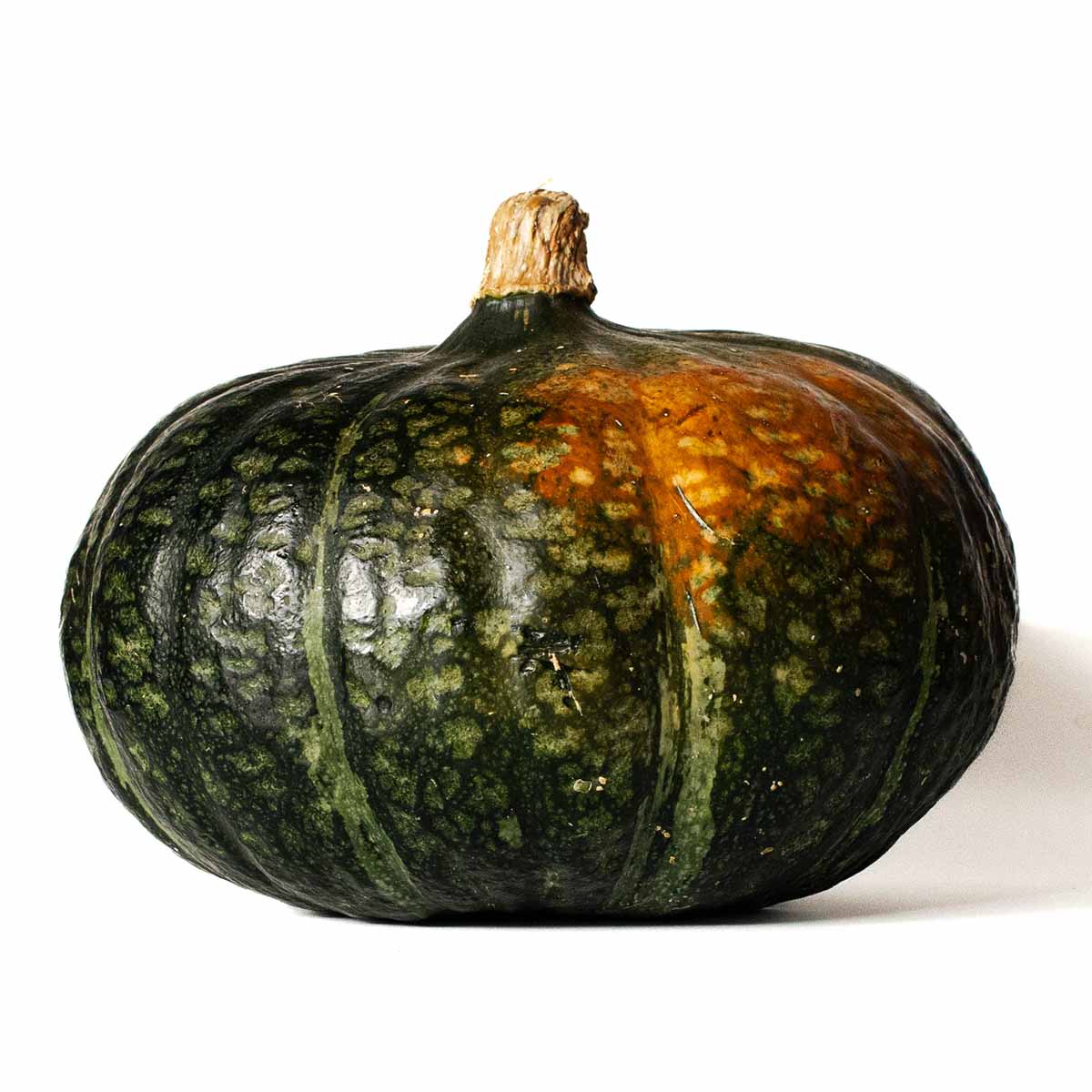 A kabocha squash in season (also known as Japanese pumpkin).