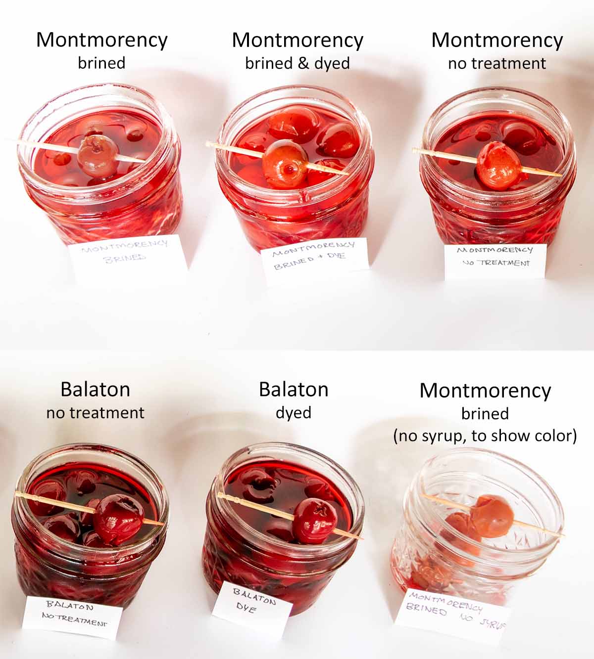 6 different cocktail cherry tests using balaton vs montmorency tart cherries, some use brine, some use red dye, and others have no dye added.