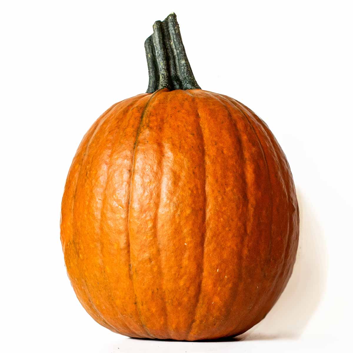 A sugar pumpkin, also known as a pie pumpkin, sweet pumpkin, or sugar pie pumpkin.