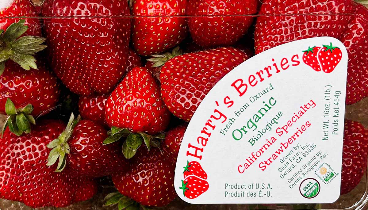 A carton of fresh strawberries from California's Harry's Berries