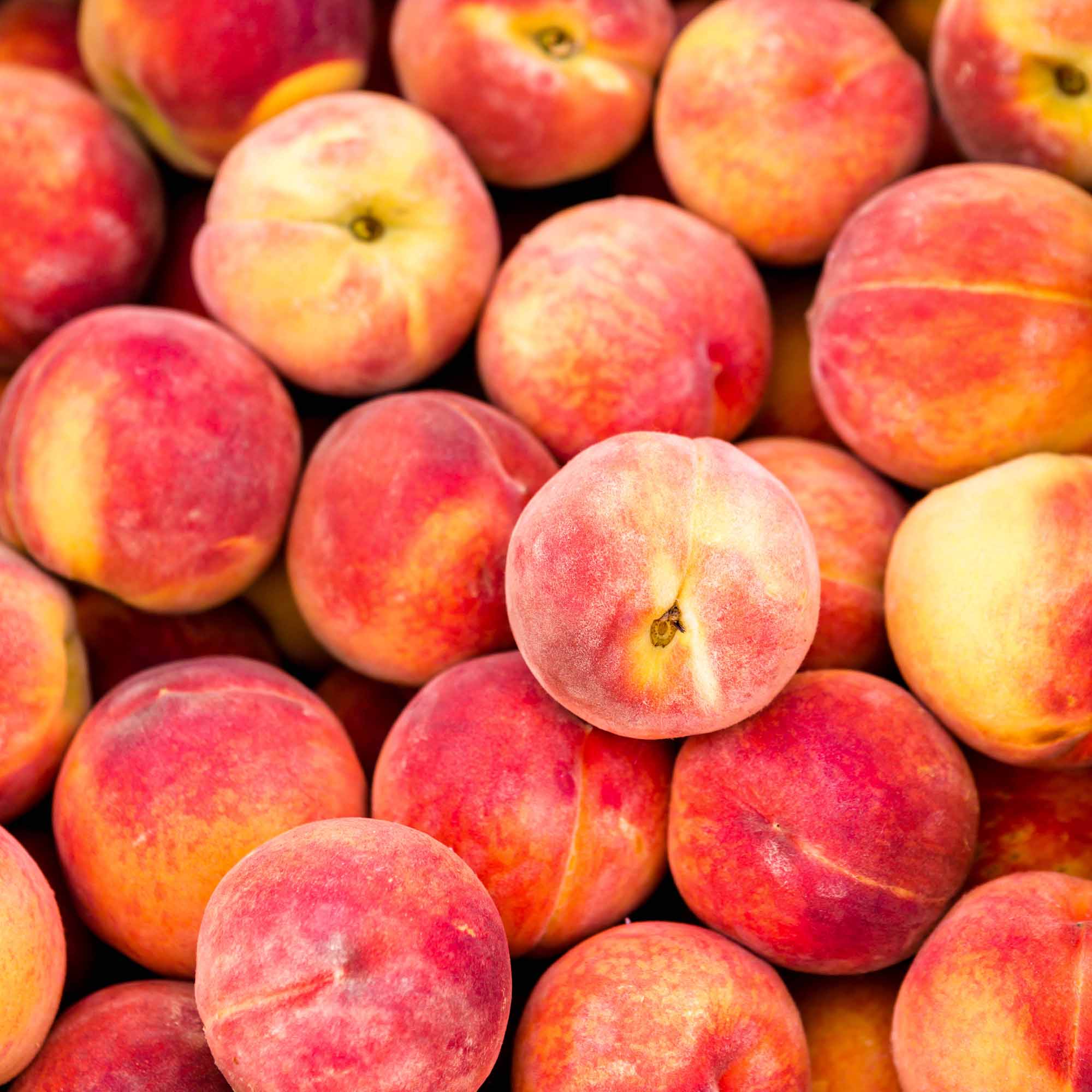 A bin of peaches in season at the farmers market