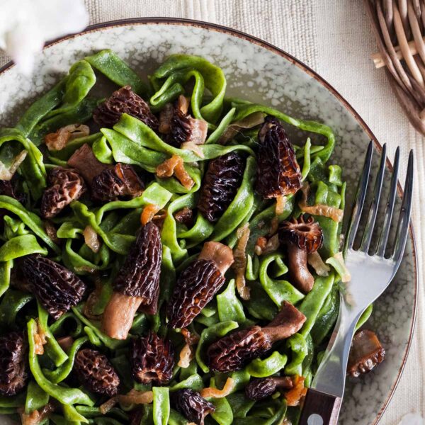 Fresh Morels Morel mushrooms - Ask The Food Geek