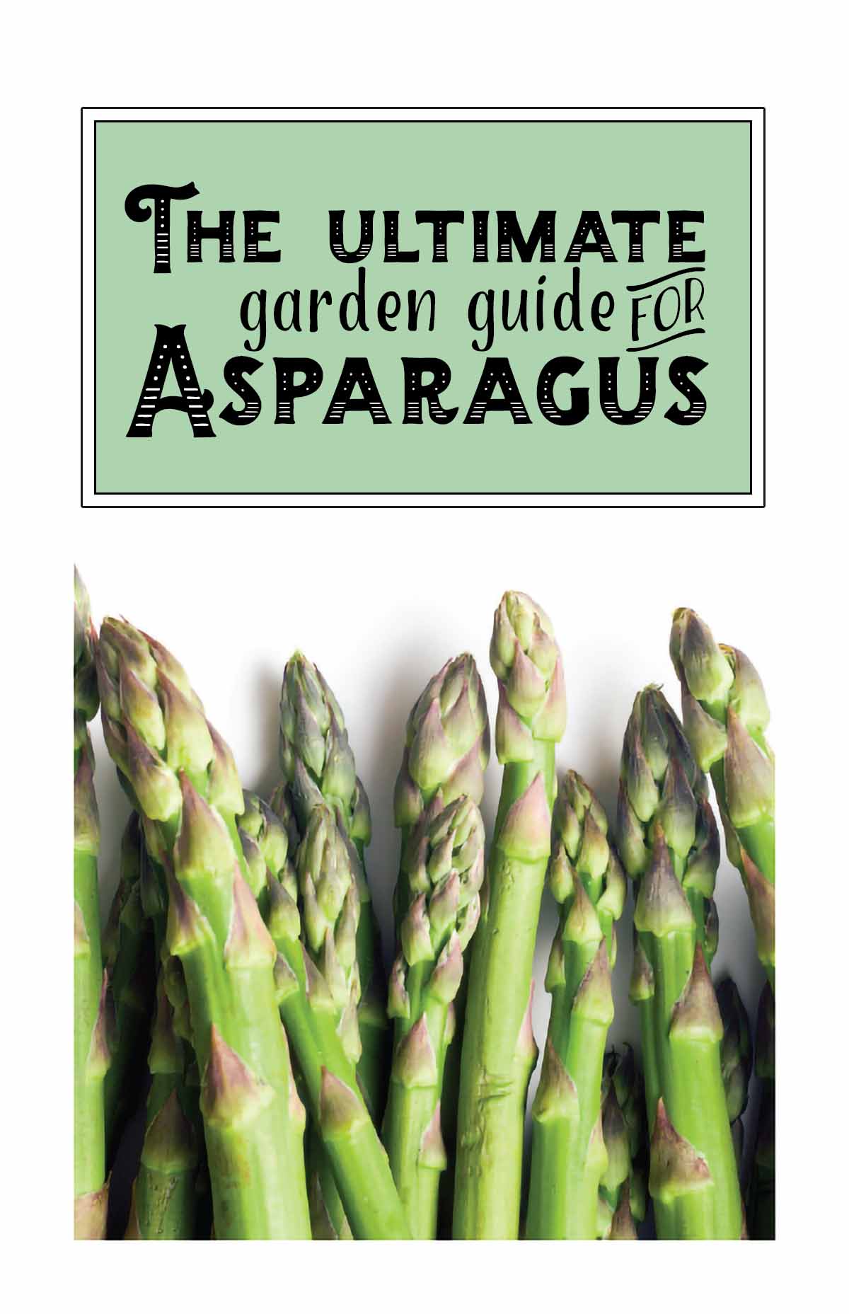 A book on growing asparagus in your home garden