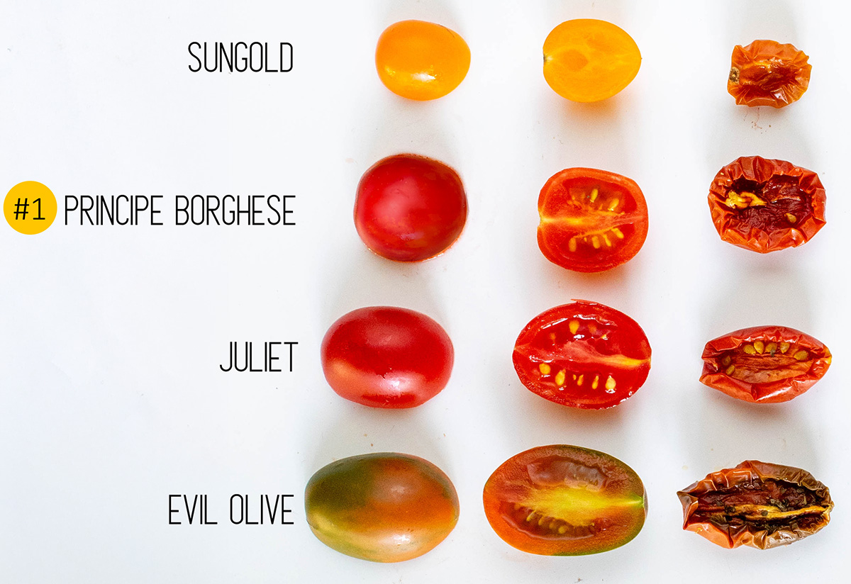 Sun-dried tomato comparison to find the best type. Before and after dehydrating: Sungold, Principe Borghese, Juliet, and Evil Olive.