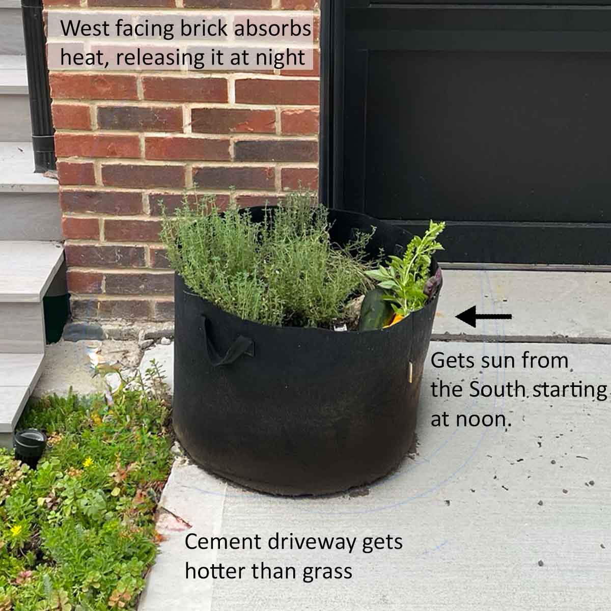 Find warm microclimates in your back yard