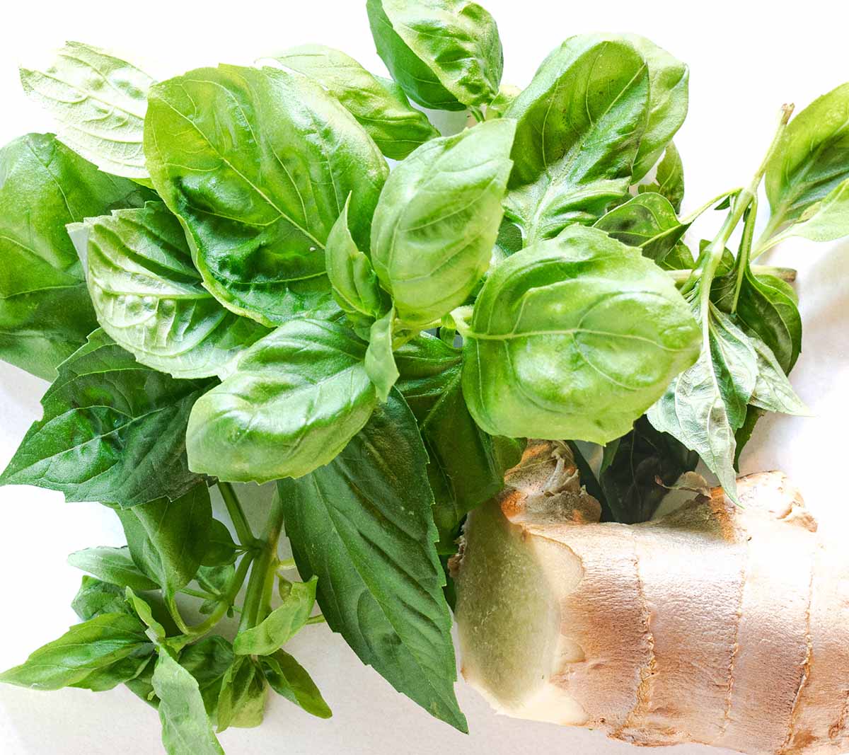Fresh basil and ginger for seasoning