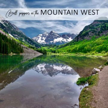 A scenic landscape in the Mountain West, with text overlay, "Growing bell peppers in the Mountain West" like Colorado, Montana, Idaho, and Wyoming.