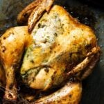 A Thanksgiving roasted chicken hot from the oven