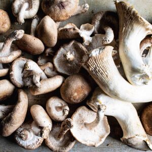A tray of wild mushrooms, including shiitake and king oyster.