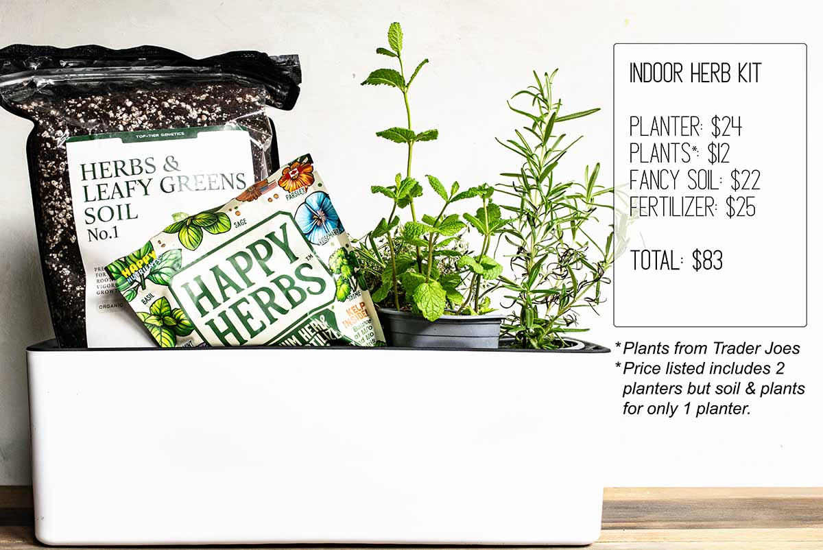 A budget friendly gift for a gardener. She will love all of the stuff inside: a planter, live plants, soil, and fertilizer.