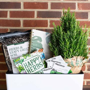 Gift ideas for a gardener packed in a planter, including a rosemary plant, seeds, soil, fertilizer and plant notebook.