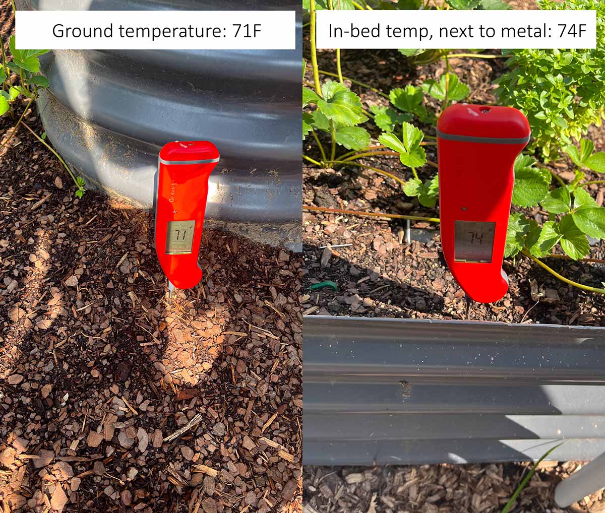 A thermometer taking the ground temperature at 71F and inside the metal garden bed at 74F