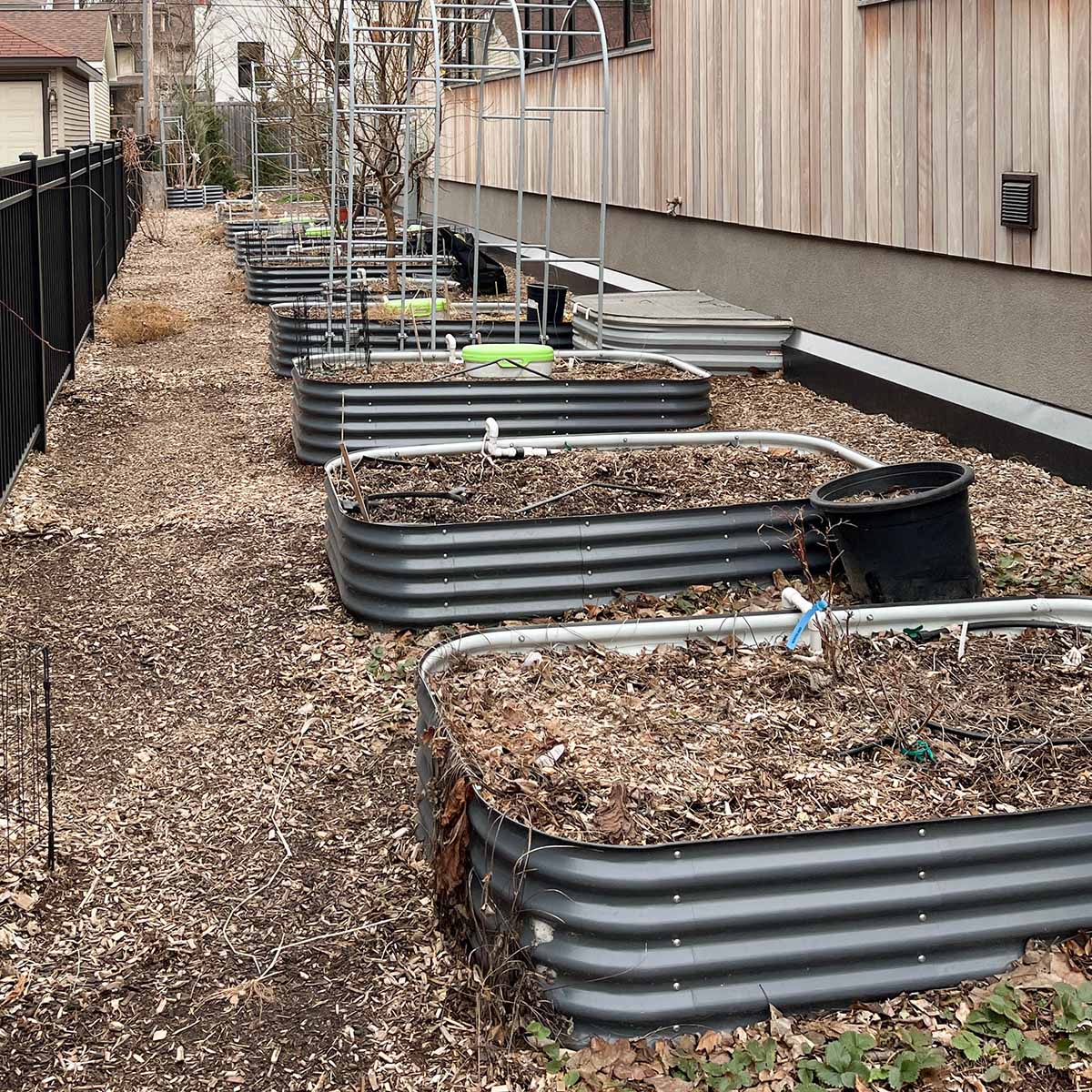 10 raised metal garden beds in my backyard, in winter