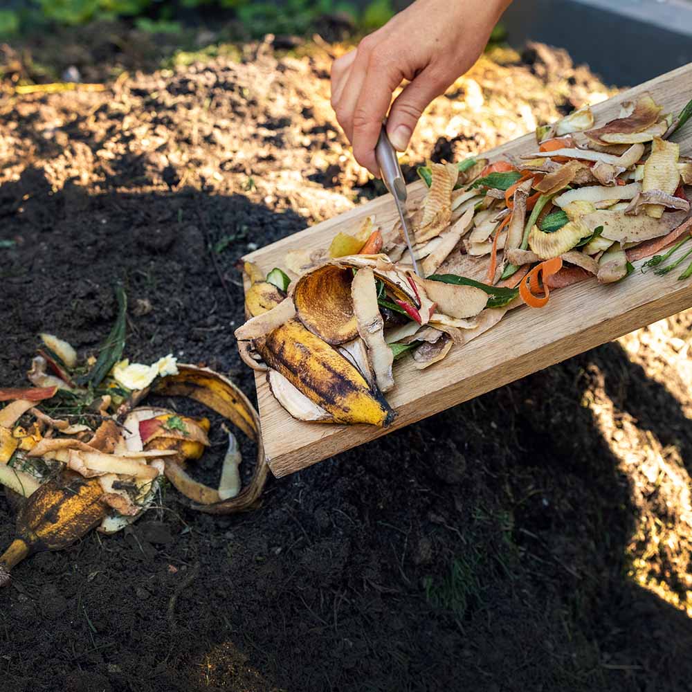 Kitchen food scraps being added to a metal garden bed compost pile in the center.