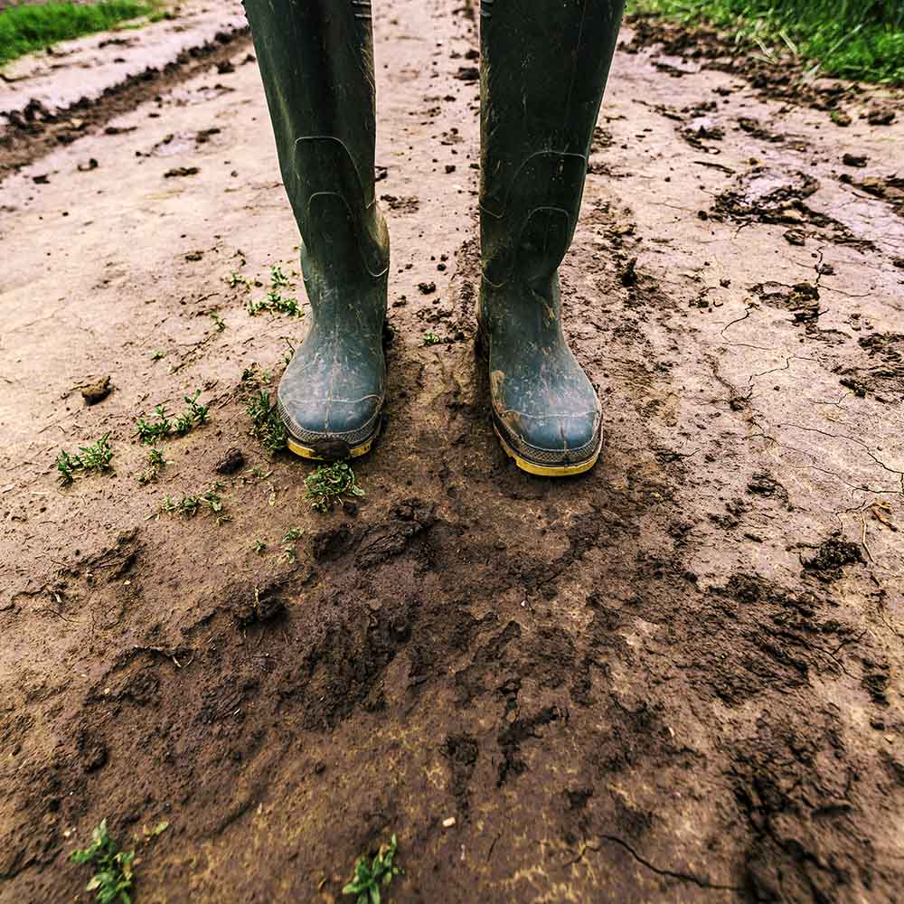 Garden boots on wet clay soil after a rainy day