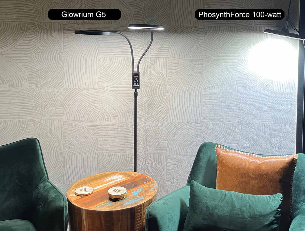 Comparing a neutral white grow light to the 100-watt grow light which is slightly cooler and noticeably brighter.