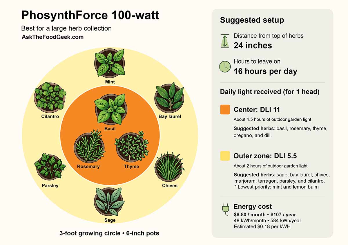 An infographic showing the setup for herbs under the PhosynForce 100-watt grow light.