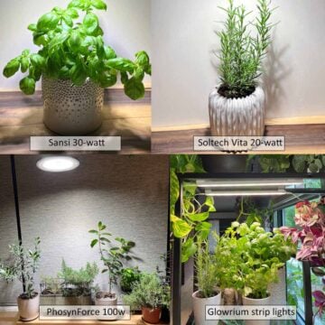 Best grow lights for herbs that I tested, from 9-watt bulbs to plugin smart lamps.
