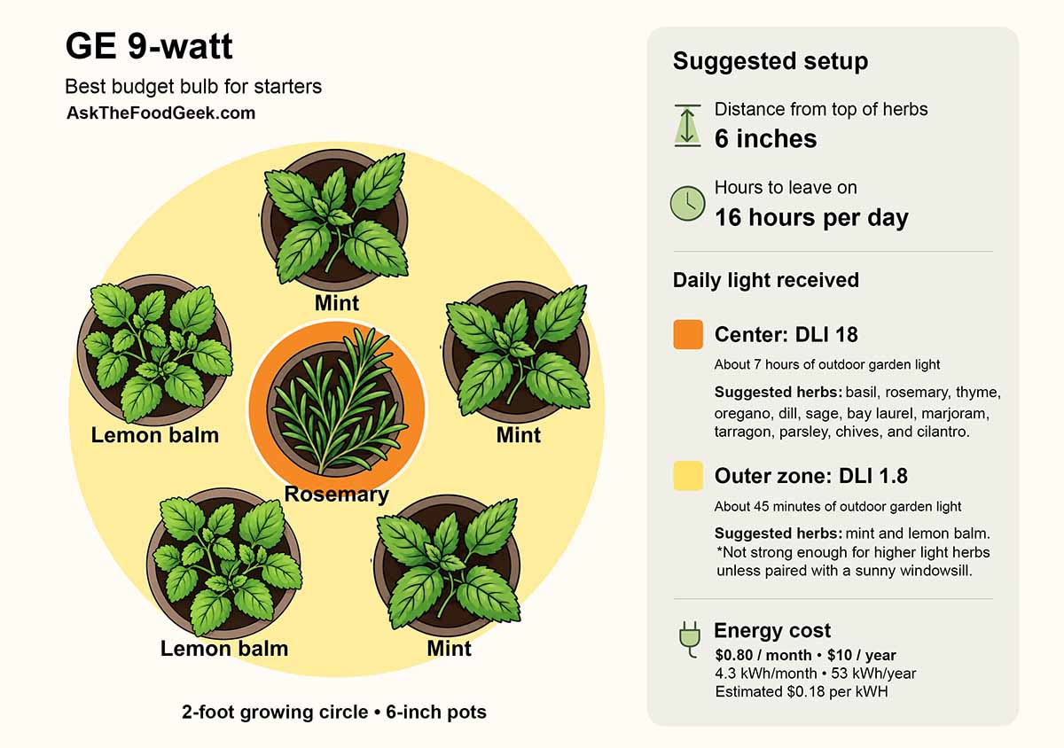 Infographic for the setup of the Best grow light for a single herb, like basil.