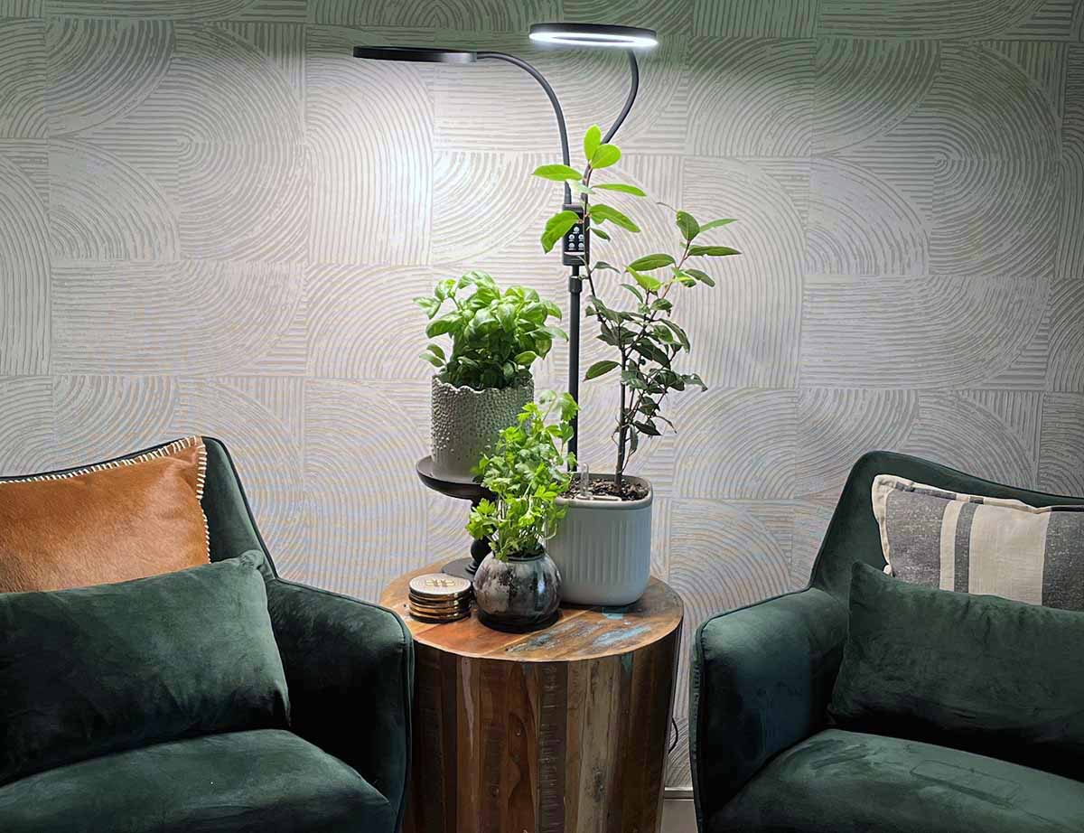 Glowrium G5 48-watt lamp lighting up herbs in my living space at full brightness. The photo is unedited and the color rendering appears accurate.