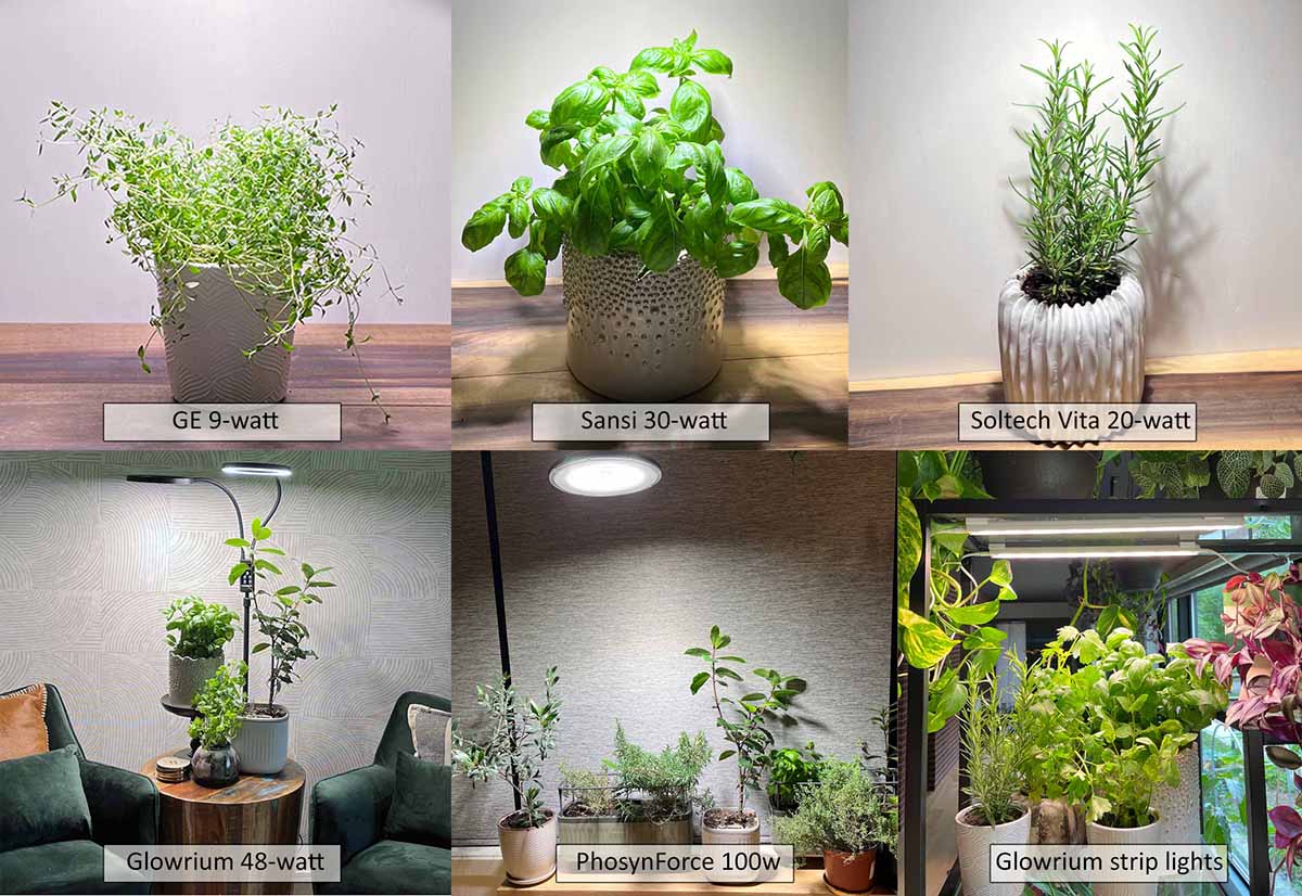 6 grow lights tested with herbs: GE 9-watt bulb, Sansi 30-watt bulb, Soltech Vita 20-watt bulb, Glowrium 48-watt lamp, a powerful 100-watt grow light, and the Glowrium light strips.