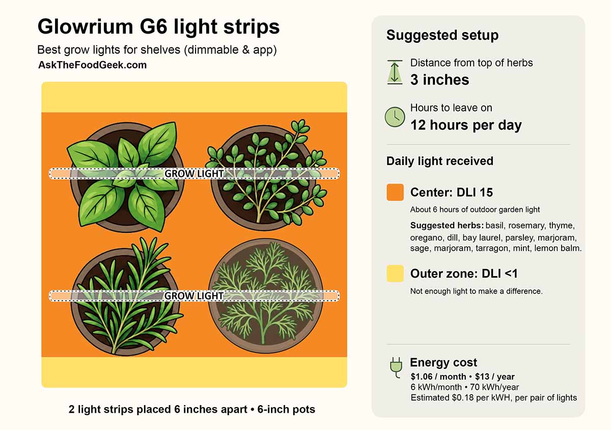 An infographic with the suggested setup for herbs under LED strip lights.